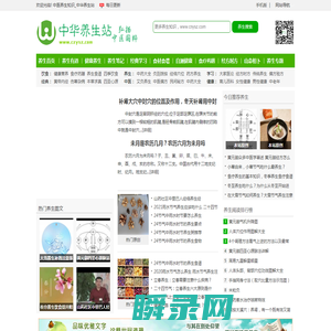 中华养生站专注于中医经络穴位,中医药养生知识笔记的网站