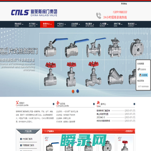 耐莱斯阀门集团有限公司