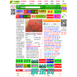 365园林网