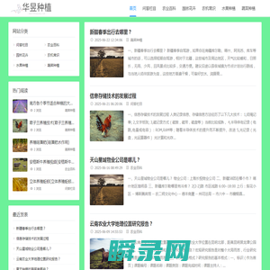 农业种植网