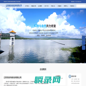新型光催化网