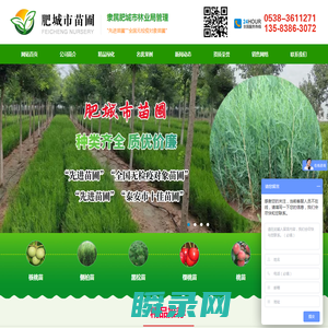 肥城市苗圃,核桃苗价格,侧柏苗批发,黑松苗价格,樱桃苗批发,桃树苗,银杏树苗批发,柳树苗价格,绿化苗批发