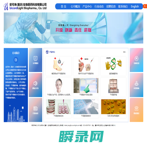 安可来有限公司