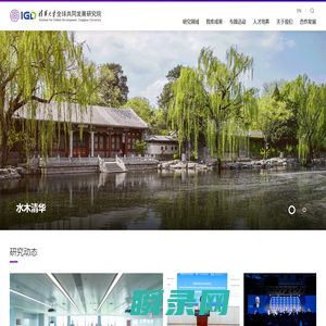 清华大学全球共同发展研究院