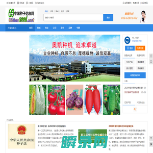 中国种子信息网