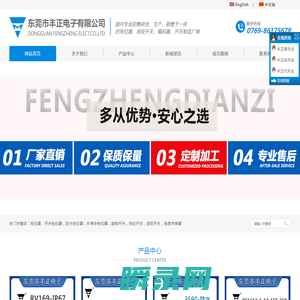 东莞市丰正电子有限公司
