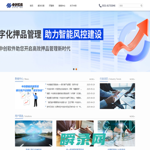 中创软件