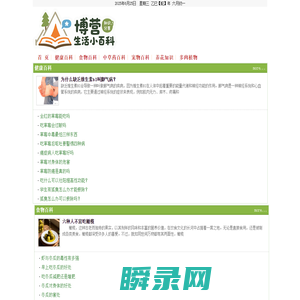 博营网