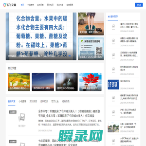 飞飞文章网