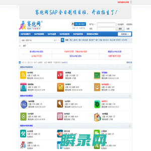 SAP培训
