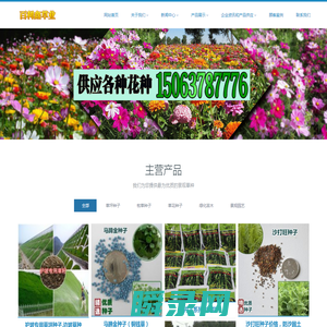 护坡草种,绿化草籽,草种子价格,批发草种子
