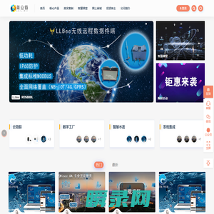 大连莱立佰信息技术有限公司