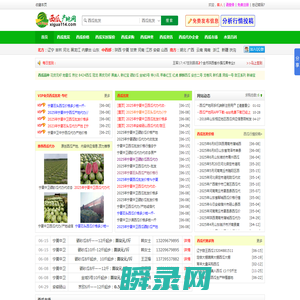 西瓜产地网