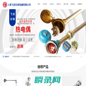 上海飞龙仪表电器有限公司