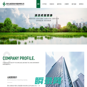 重庆山城清洗技术服务有限公司