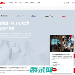 成为全球最具价值的太阳能科技公司