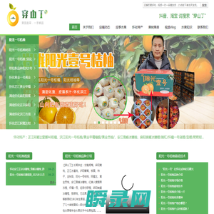 阳光一号桔柚树苗基地批发