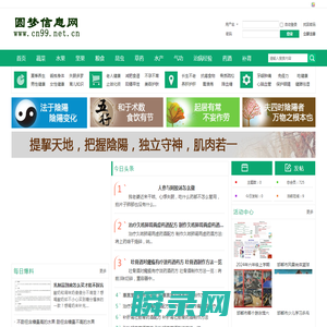 圆梦信息网