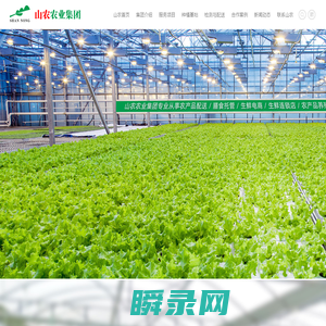 东莞蔬菜公司