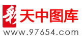 天中网
