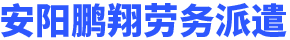劳务派遣,职业技能培训,劳动事务代理,社会保障政策咨询