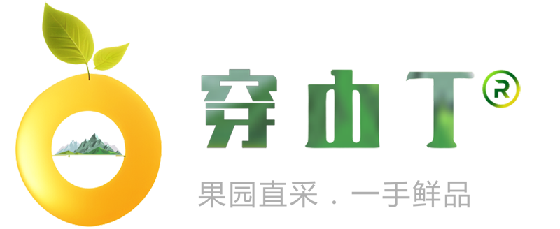 阳光一号桔柚树苗基地批发