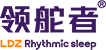 领舵者